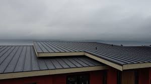 Best Rubber Roofing (EPDM, TPO)  in Hernando Beach, FL